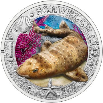 2023 Austria Copper-Nickel 2023 Austria Copper-Nickel Frilled shark PN PN
