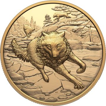 2025 33.16g Canada Gold 2025 33.16g Canada Gold Grey Wolf PP PP