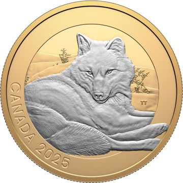 2025 31.38g Canada Silver 2025 1oz Canada Silver Grey Wolf PP PP