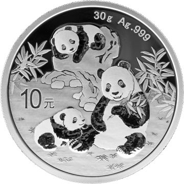 Panda 30 g Silver 2025