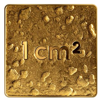 2025 1/25 oz Latvia Gold Our Land PP